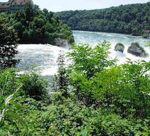 Der Rheinfall von Oben aus gesehen