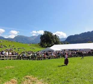 Zuschauer und Festzelt