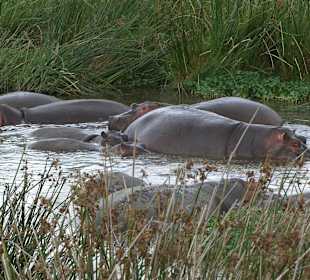 ...doch keine Steine