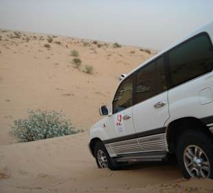 Wüstensafari