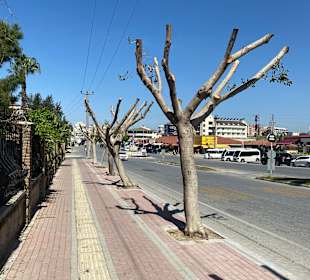 Wandern Side - Kumköy