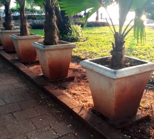 Forodhani Park