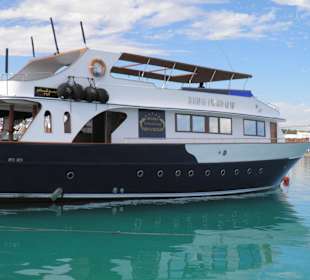 Schnorchelausflug 2014