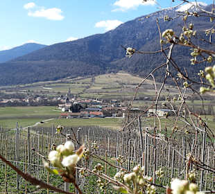 Wandern Malles Venosta / Mals