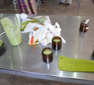 Landausflug Aloe Vera Workshop Fuerteventura