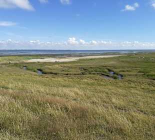 Insel Röm, Rømø, Romo