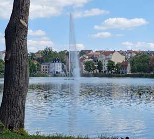 Wasserspiel auf dem See