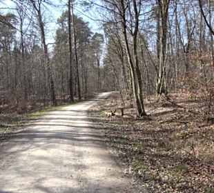 Historischer Rundwanderweg Aichtal