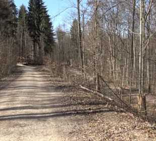 Premiumwanderweg "hochgeblickt"