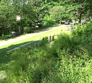 Friedhof Horb am Neckar
