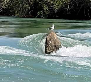 Oymapinar Baraji/ Stausee Green Lake & Green Canyon