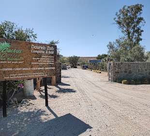 Cactus and Coffee Teagarden