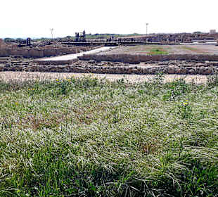 Archäologischer Park Kato Pafos