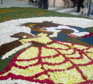 Alfombras florales Burela