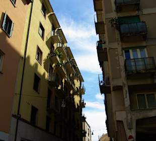 In Treviso