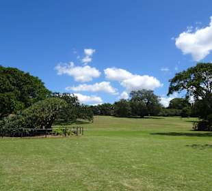 Stadtrundgang Sydney