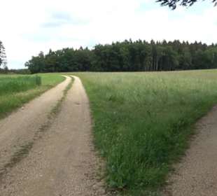 Premiumwanderweg "hochgehackert"