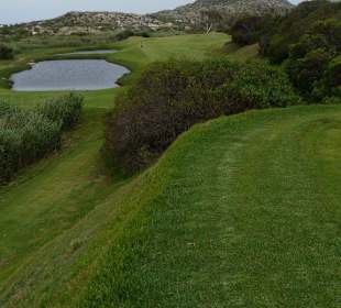 Clovelly Golf Club