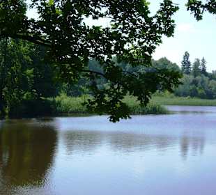 Zespół pałacowy Oranienbaum