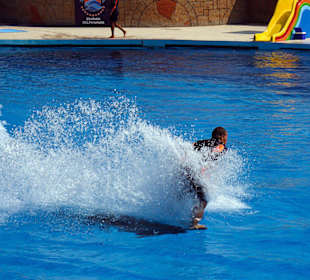 Delfinshow im Sealanya Delfinpark