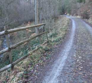 Wanderung rund um den Ochsenweiher