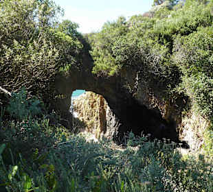 Aussichtspunkt Knysna