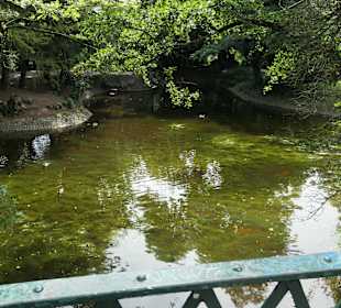 Unterwegs im Stadtgarten von Aachen