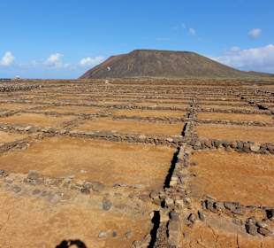 Saline auf Lobos