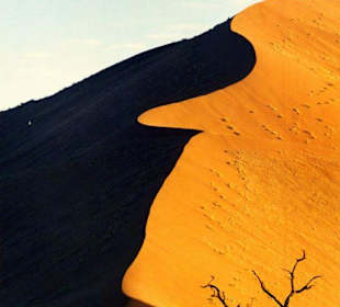 Fantastische Farben!