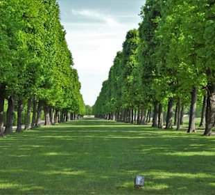 Allee im Großen Garten Herrenhausen