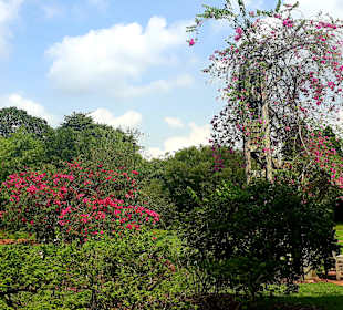 Botanischer Garten