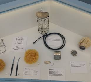 Historische Instrumente für den Kaiserschnitt