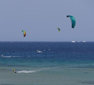Windsurfing in Safaga
