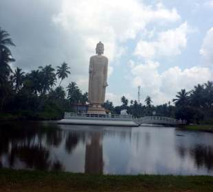 Buddha Statue