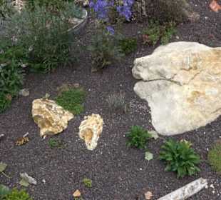 Blühendes Neresheim