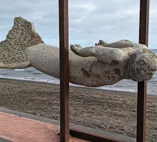 Strandpromenade Tarajalejo