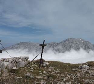 Auf dem Schneibstein