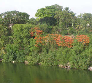 Blick nach schräg link vom Ital. Restaurant 