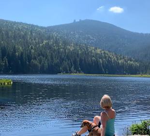 Kleiner Arbersee
