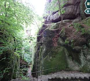 Wandern Bad Schandau
