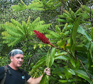 Reiseleiter Andreas erklärt Tropenblume