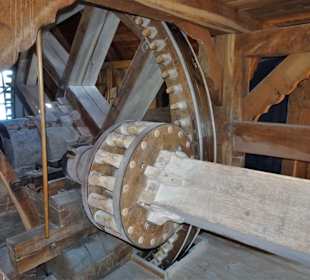 Blick auf die Kamm- und Korbräder