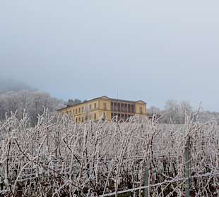 Kräutergarten Klostermühle