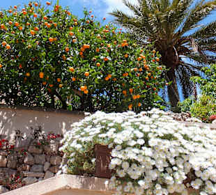 Wunderschöner Anblick