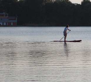 Immer etwas zum Beobachten