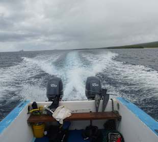 Mit voll Power zurück