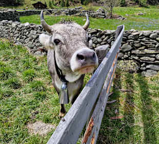 Wandern St. Jakob im Defereggental