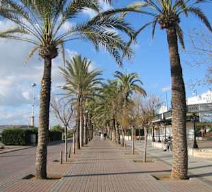Playa de Palma