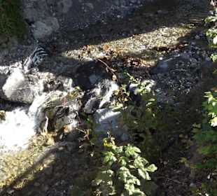 Audi Arena Oberstdorf