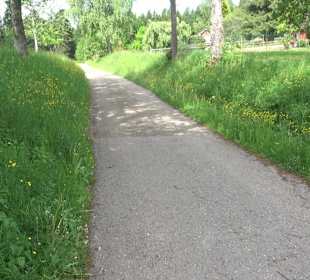 Flößerpfad Loßburg